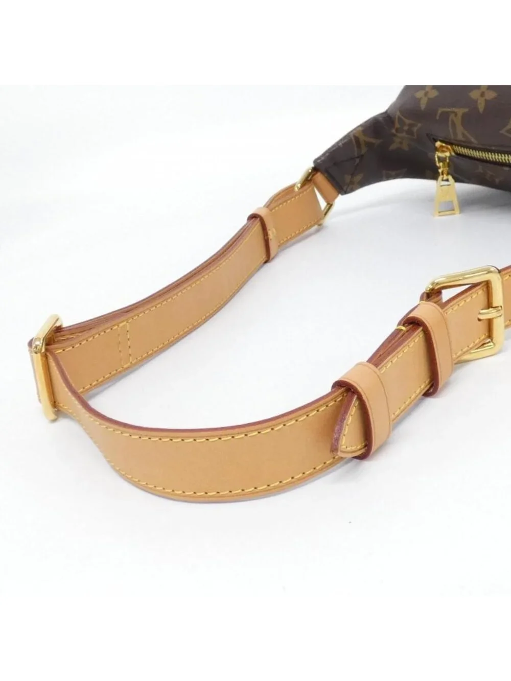 Louis Vuitton Monogram Bum